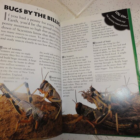 Vintage Secret Worlds Bugs A Close Up View of the Insect World Hardcover Book - Picture 14 of 16